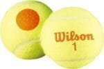 WRZ4202BK_Wilson-300×300