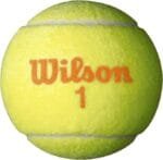 WRZ4202BK_Wilson-300×300